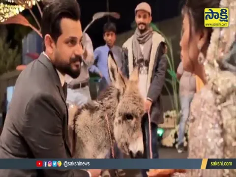 Pakistani Man Gifts Bride Donkey In wedding Here Is Why