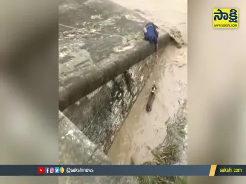 Young Man Saves Dog Video Goes Viral