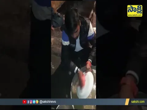 Viral Video: Student Goes To Uninvited Wedding & Bride Relatives Gave Punished