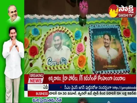 YS Jagan Mohan Reddy Birthday Celebrations In Nellore 
