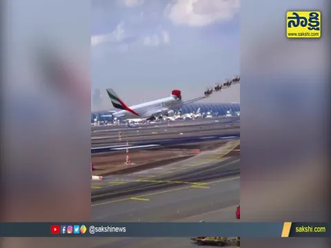 Horses In Air With The Plane Video Goes Viral
