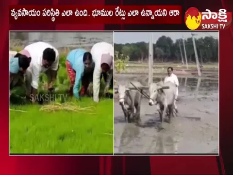 Minister Errabelli Dayakar Rao Turned into a Farmer at Warangal