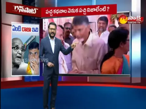 Gun Shot : Yellow Media Fake News Spread On Amara Raja Company 