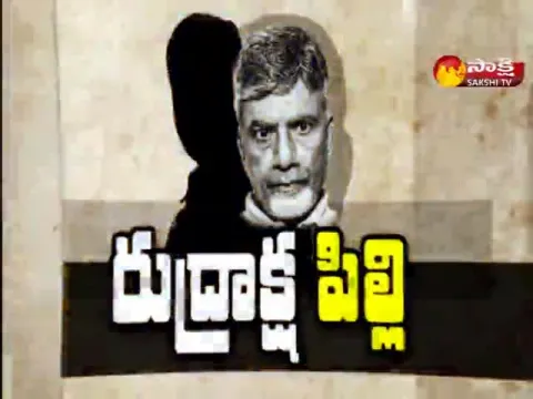 Sakshi Special Edition On Chandrababu 