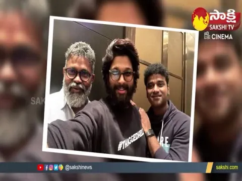 Pushpa Songs Dominates Youtube