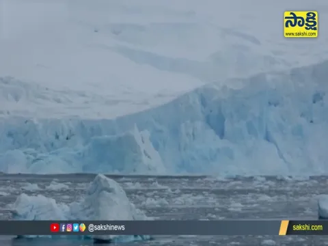 Collapses of Antarctica Glaciers Videos Goes Viral