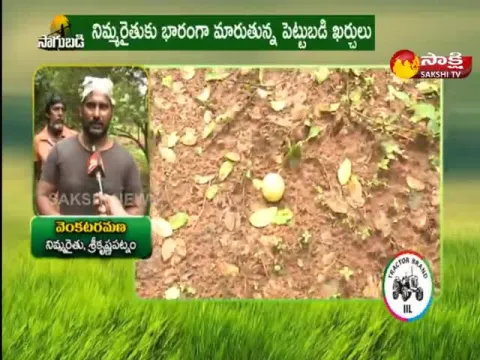 Sagubadi @ 07 December 2022