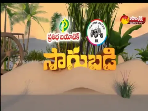 Sagubadi @ 5 30 Pm 08 December 2022