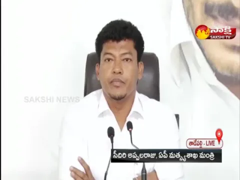 AP Minister Sidiri Appala Raju Comments On Pawan Kalyan