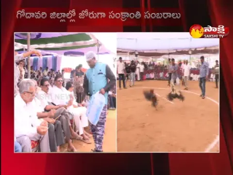 Sankranthi Festival Celebrations In Godavari District