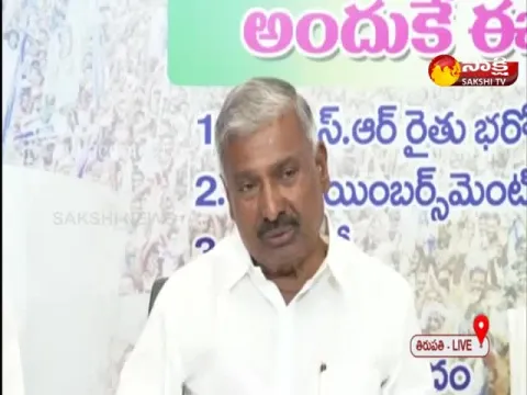 Minister Peddireddy Ramachandra Reddy Fires On Chandrababu