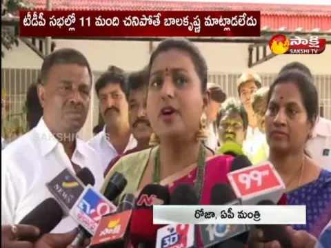 AP Minister Roja Fire On Bala Krishna