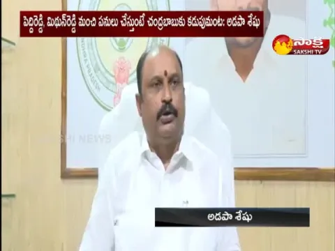 AP Kapu Corporation Chairman Adapa Seshu Fires On Chandrababu
