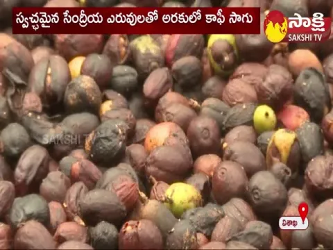 Araku Coffee Is Back