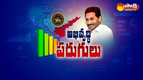RBI Report on Expenditure on AP Development