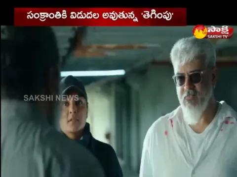 Hero Ajith New Telugu Movie Tegimpu Trailer Released 