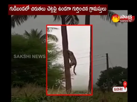 Leopard Hulchul In Madakasira Sri Satya Sai district
