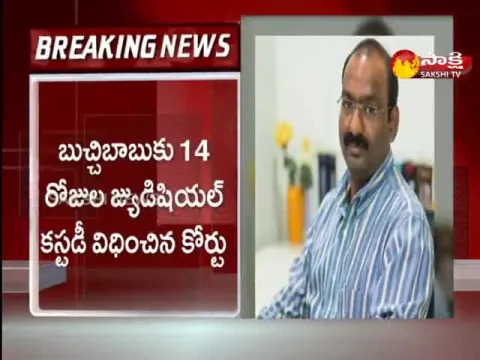 Delhi Liquor Scam: Auditor Buchi Babu 14 Judicial Custody