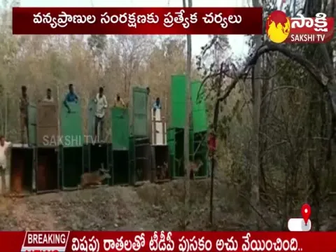 Forest Officials Released Deers in Pakala Forest In Warangal Dist