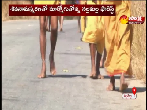 Huge Devotees at Srisailam Temple For Mahashivratri
