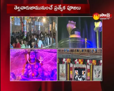 Maha Shivaratri Festival Celebrations 