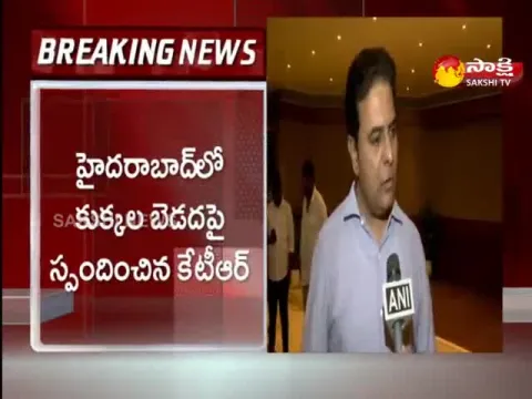 Minister KTR Reacts On Street Dogs In Hyderabad