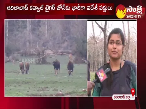 Birds Festival Kawal Tiger Reserve at Adilabad District