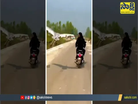Viral Video Of A Sarus Crane Flying Next To A Biker In Uttar Pradesh