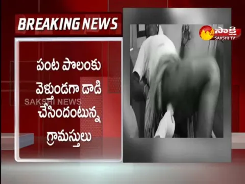 Two Injured In Bear Attack At Kumuram Bheem District 