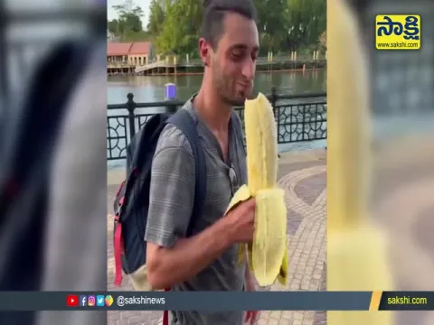 The Biggest Size Banana In Indonesian Papua Guinea Islands
