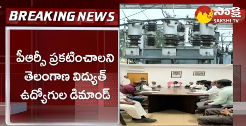 TS Electricity Employees Call To Protest Against BRS Govt