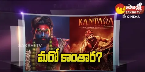 Director Sukumar Master Plan Behind Pushpa 2