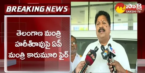AP Minister Karumuri Nageswara Rao Counter To Telangana Minister Harish Rao Comments 
