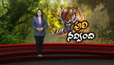 Sakshi Special Edition On Tiger Project