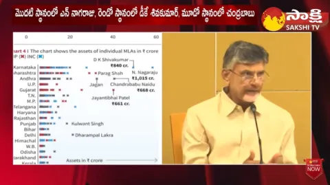 Chandrababu Naidu Richest MLA In India