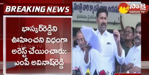 MP YS Avinash Reddy Comments On YS Bhaskar Reddy Arrest