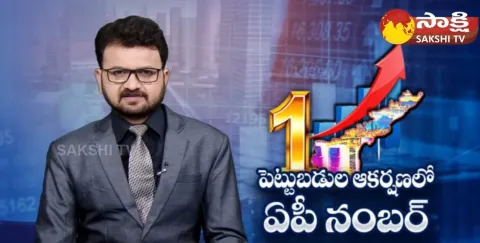 Andhra Pradesh GOVT Records In Investments 