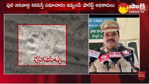 Tiger Rumours in Hyderabad Officials Condemned