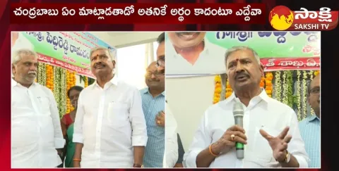 Minister Peddireddy Inaugurates 3 Power Substation 