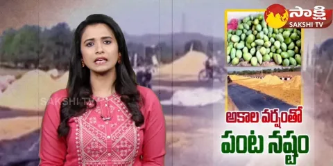 Huge Crop Loss In Telangana Due To Sudden Rains 
