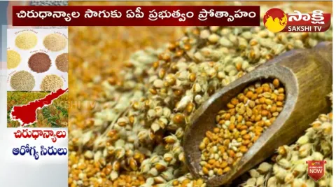 Millets Farming: Health Benefits Of Millets