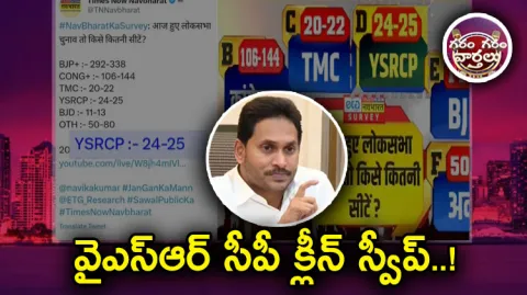 YSRCP Clean Sweep In AP 2024 Elections
