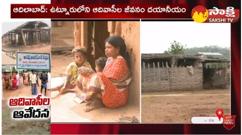 Sakshi Special Focus On Tribal People Problems In Dharmajipet 