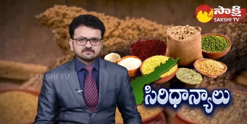 Andhra Pradesh Government Millets Distribution 