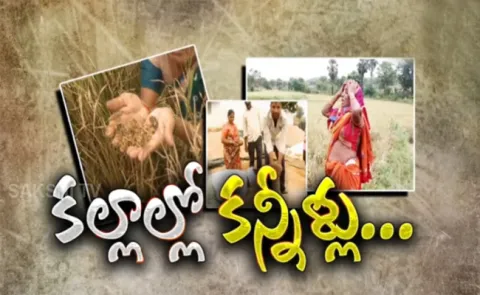 Huge Crop Loss Due To Heavy Rain In Warangal 