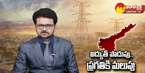 Andhra Pradesh Government Key Decision On Power Supply 