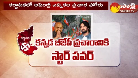 Film Star Campaigners In Karnataka