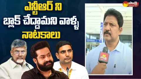 Vallabhaneni Vamsi Comments On TDP And Nara Lokesh