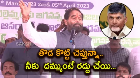 Speaker Thammineni Seetharam Open Challenge To Chandrababu