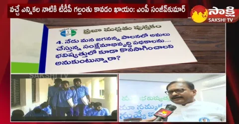 Kurnool MP Sanjeev Kumar Comments On TDP Chandrababu 